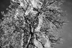 KOS4291-Modifica-Modifica